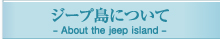 ジープ（Jeep)、ジープ島について