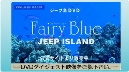 ジープ島DVD